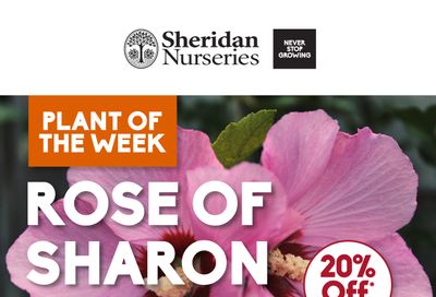 Sheridan Nurseries Flyer July 25 to 31