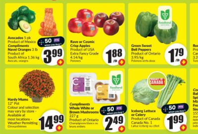 Freshco and Food Basics Ontario: 47 Cent Celery After Price Match & Scene+ Points