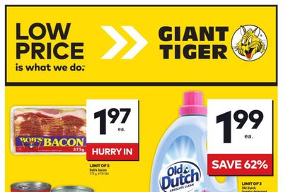 Giant Tiger (ON) Flyer October 16 to 22