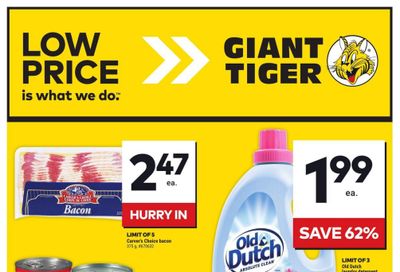 Giant Tiger (Atlantic) Flyer October 16 to 22