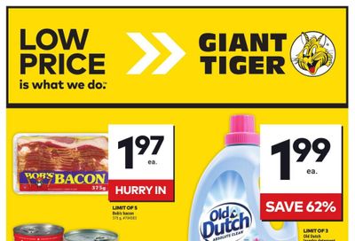 Giant Tiger (West) Flyer October 16 to 22