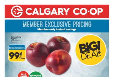 Calgary Co-op Flyer November 7 to 13