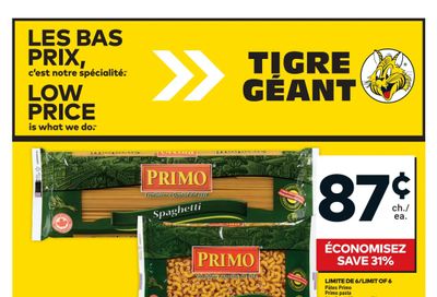 Tigre Géant Flyer November 20 to 26