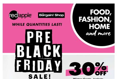 The Bargain Shop & Red Apple Stores Flyer November 21 to 24