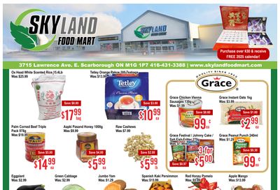 Skyland Food Mart Flyer November 22 to 28