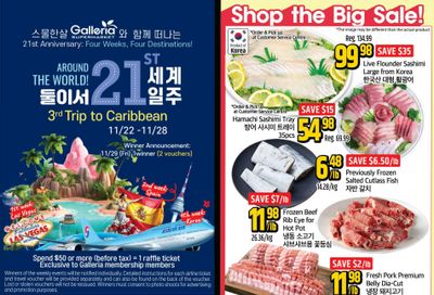 Galleria Supermarket Flyer November 22 to 28