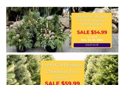 Terra Greenhouses Flyer November 22 to 28