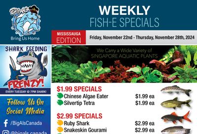 Big Al's (Mississauga) Weekly Specials November 22 to 28