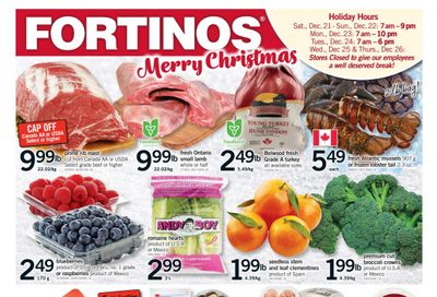 Fortinos Flyer December 19 to 24