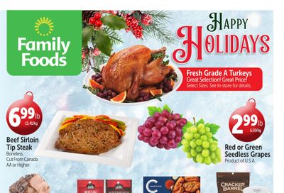 Family Foods Flyer December 19 to January 1