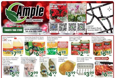 Ample Food Market (North York) Flyer December 20 to 26