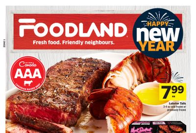 Foodland (ON) Flyer December 26 to January 1