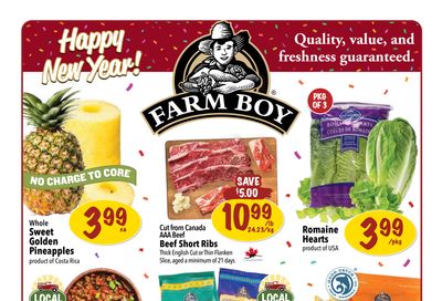 Farm Boy Flyer December 26 to 31