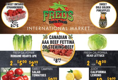 Fred's Farm Fresh Flyer December 27 to January 2