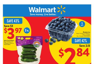 Walmart (ON) Flyer January 2 to 8