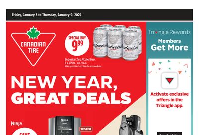 Canadian Tire (ON) Flyer January 3 to 9