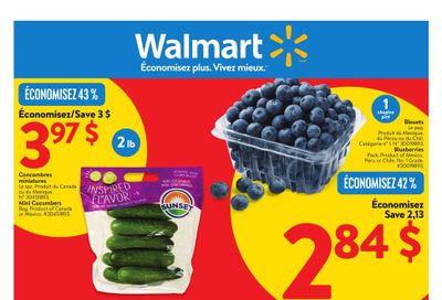 Walmart (QC) Flyer January 2 to 8