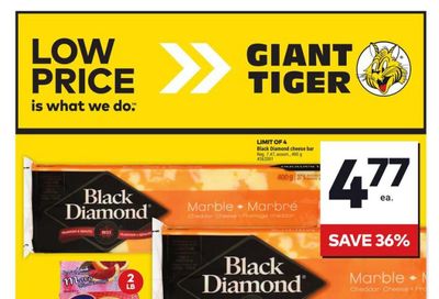 Giant Tiger (Atlantic) Flyer January 22 to 28