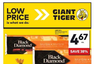 Giant Tiger (West) Flyer January 22 to 28