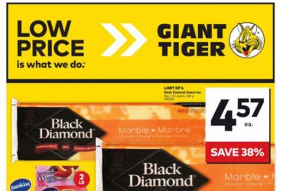 Giant Tiger Canada Flyer Deals January 22nd – 28th