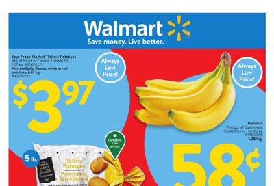 Walmart (ON) Flyer January 23 to 29