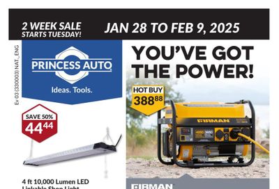 Princess Auto Flyer January 28 to February 9