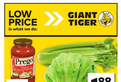 Giant Tiger (ON) Flyer January 29 to February 4