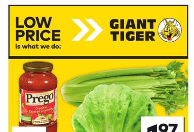 Giant Tiger (West) Flyer January 29 to February 4