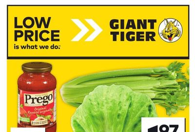 Giant Tiger (Atlantic) Flyer January 29 to February 4