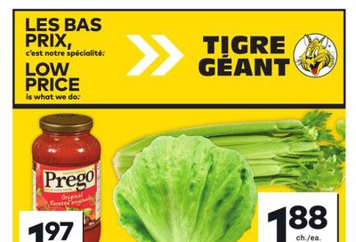 Tigre Géant Flyer January 29 to February 4