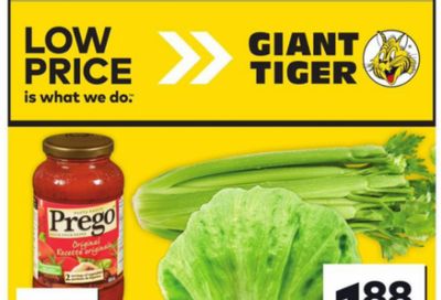 Giant Tiger Canada Flyer Deals January 29th – February 4th