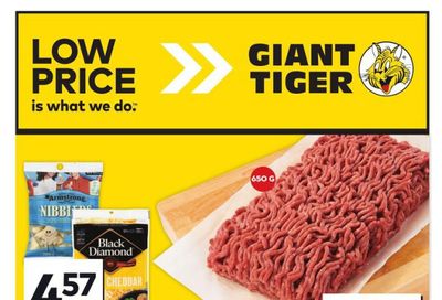 Giant Tiger (ON) Flyer February 5 to 11