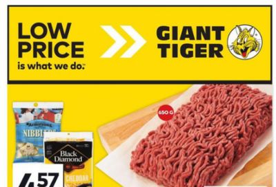 Giant Tiger Canada Flyer Deals February 5th – 11th